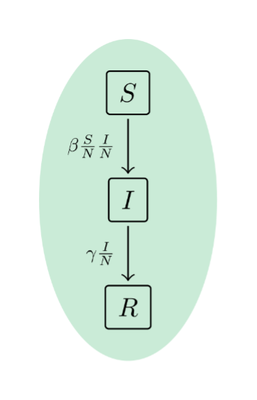 Image of SIR transition schema